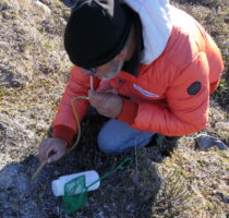 Noel Alfonso, Ichthyologist