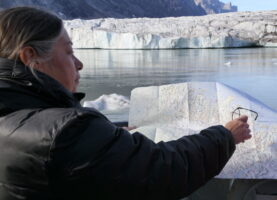 Vicki Sahanatien, Wildlife Ecology